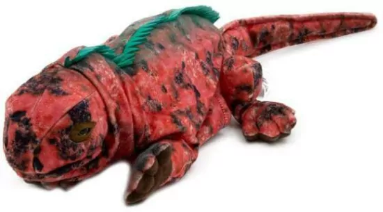 Pacynka Iguana. National Geographic