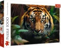 Trefl. Puzzle 1000. Dziki Tygrys - tantis.pl