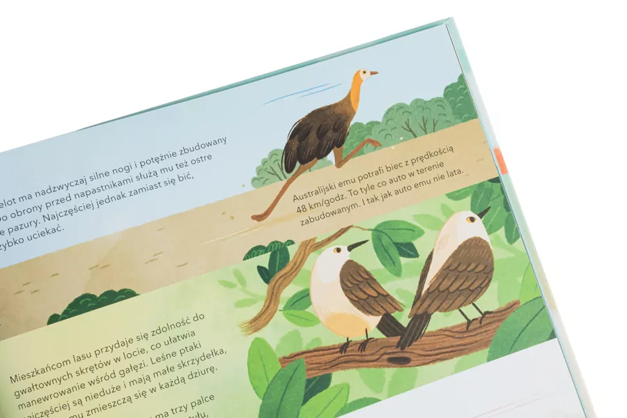 Sekretne życie ptaków - tantis.pl