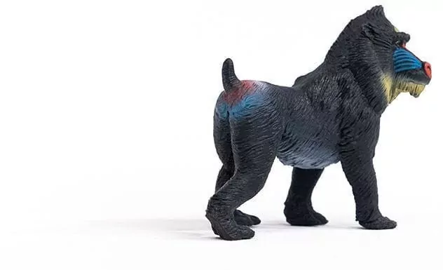 Mandryl 14856 - tantis.pl