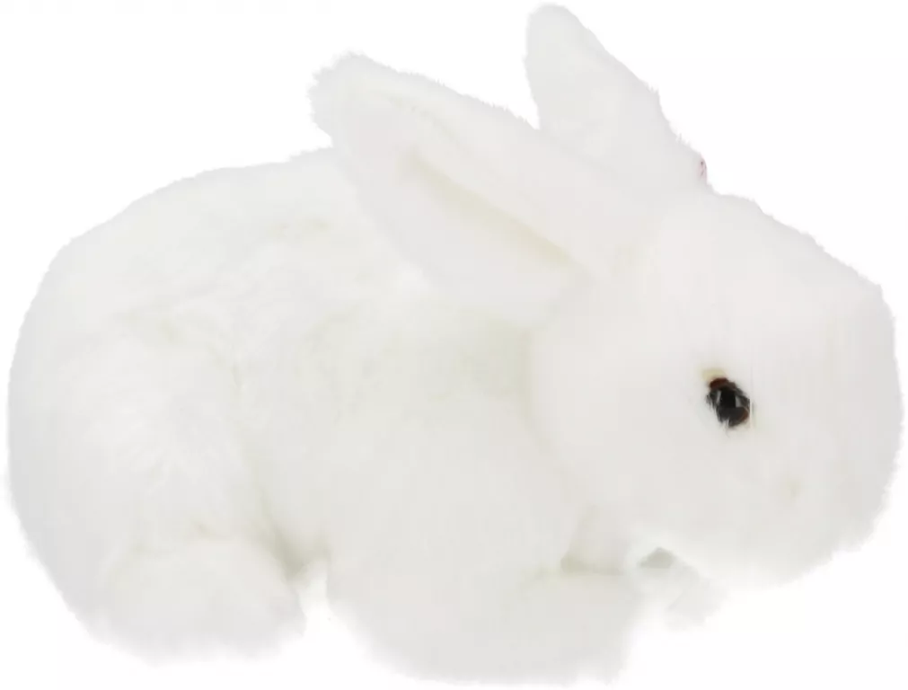 Króliczek biały 18cm - tantis.pl
