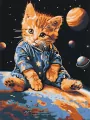 Malowanie po numerach - Gwiezdny kotek 30x40cm - tantis.pl