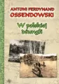 W polskiej dżungli - tantis.pl