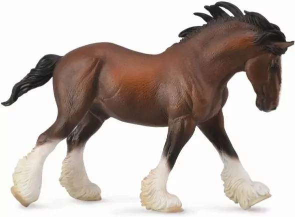 Ogier Clydesdale maści Bay - tantis.pl