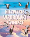 Niezwykłe wędrówki zwierząt. Młodzi przyrodnicy - tantis.pl