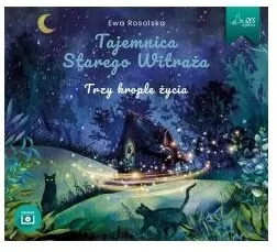 Tajemnica Starego Witraża T.1 Trzy krople życia CD. Audiobook - tantis.pl