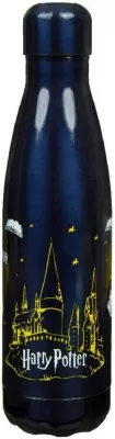 Butelka Termiczna Harry Potter
