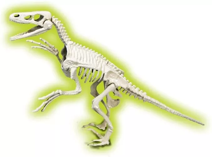 Skamieniałości. Welociraptor. Naukowa zabawa - tantis.pl