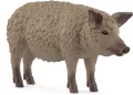 Świnia Mangalica - tantis.pl