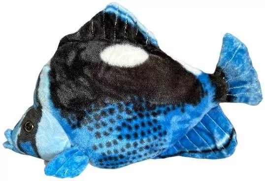 Ryba Hepatus niebieska 41cm - tantis.pl