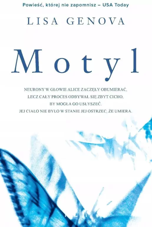 Motyl - tantis.pl