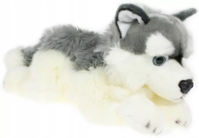 Pies Husky 42cm - tantis.pl