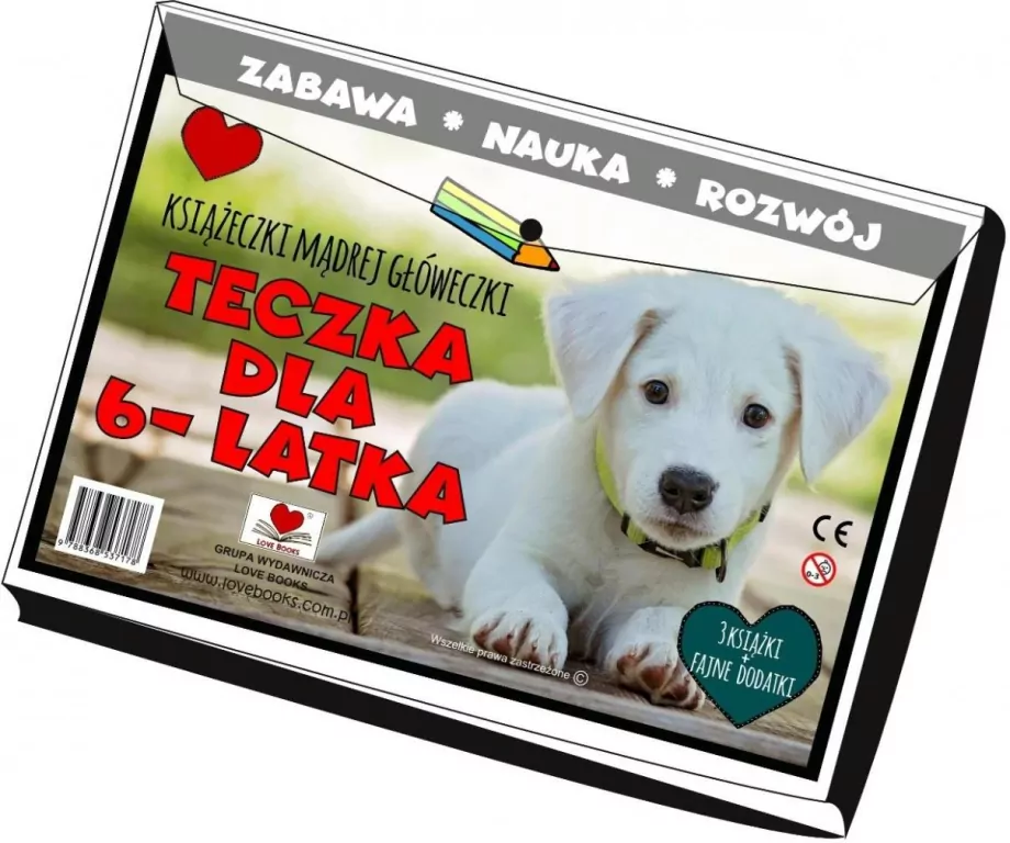 Teczka dla 6 latka. Książeczki mądrej główeczki - tantis.pl