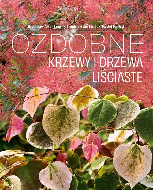 Ozdobne Krzewy i drzewa Liściaste - tantis.pl
