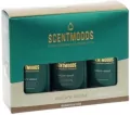 Zestaw olejków zapachowych Nature Mood 3x50ml - tantis.pl