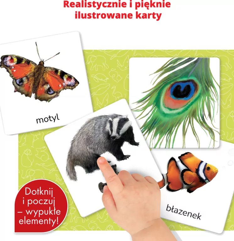 Montessori. Karty sensoryczne. Zwierzęta 2+ - tantis.pl
