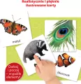 Montessori. Karty sensoryczne. Zwierzęta 2+ - tantis.pl