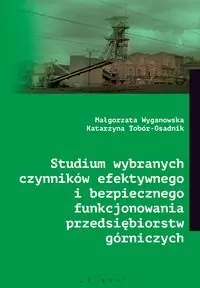Studium wybranych czynników efektywnego i bezpiecznego funkcjonowania przedsiębiorstw górniczych - tantis.pl