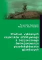 Studium wybranych czynników efektywnego i bezpiecznego funkcjonowania przedsiębiorstw górniczych - tantis.pl
