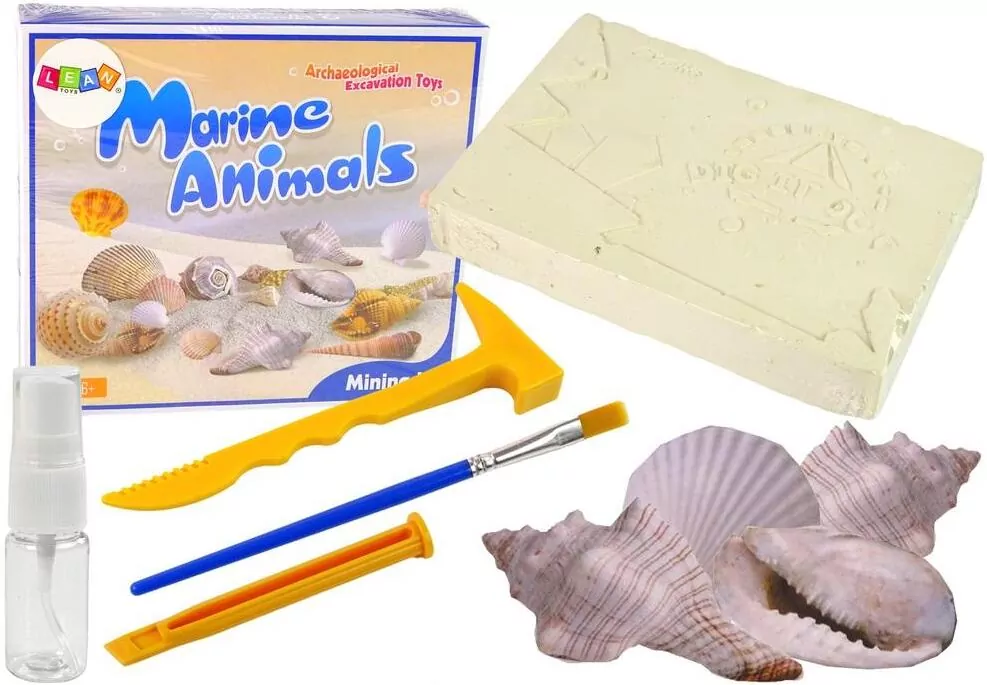 Zestaw archeologiczny zwierzęta morskie - tantis.pl