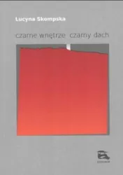 czarne wnętrze czarny dach
