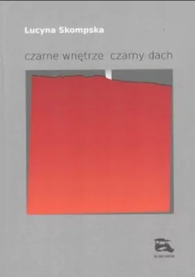 czarne wnętrze czarny dach