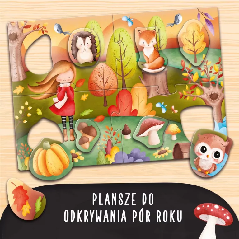 Lisiciani Pory Roku Carotina cię nauczy! - tantis.pl