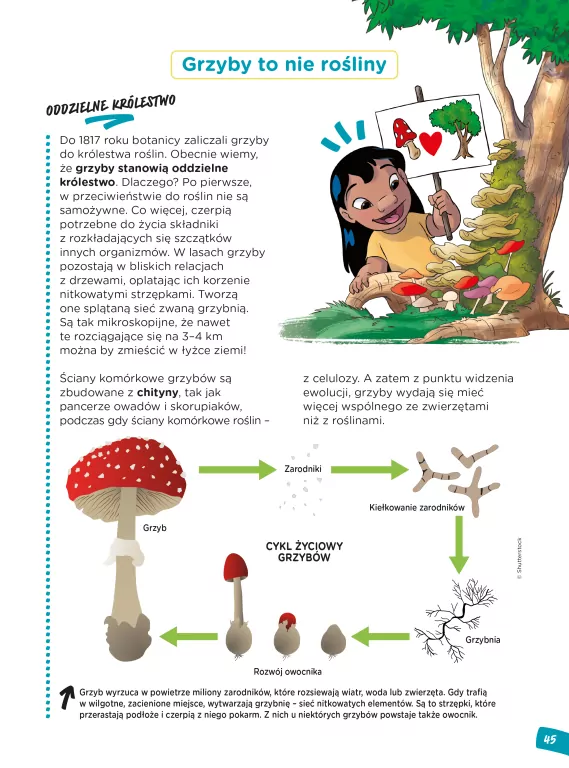 Rośliny i zwierzęta. Genetyka i ewolucja. Nauka z komiksem. Tom 2 - tantis.pl