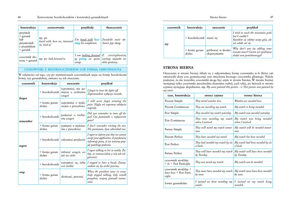 Tablice. Język angielski. Gramatyka. Słownik. Rozmówki - tantis.pl