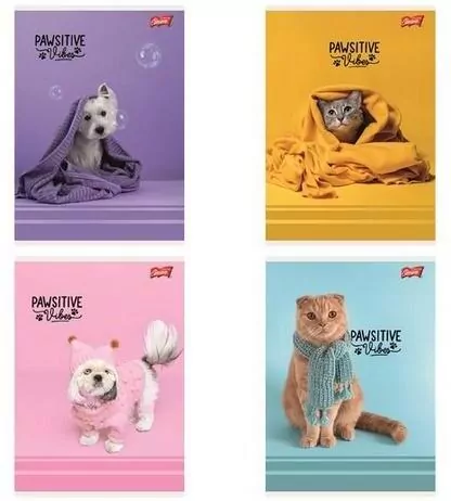 Zeszyt A5/32K linia kolorowa Pawsitive (15szt) - tantis.pl