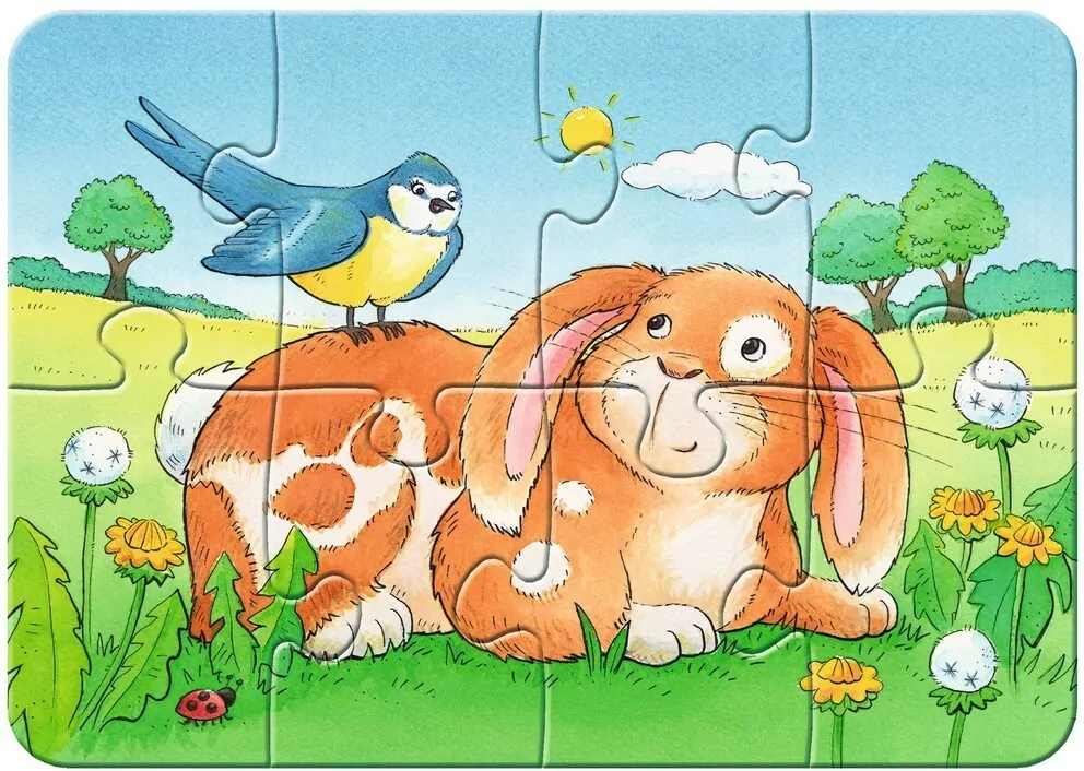Puzzle 2/4/6/8 Cute Pets - tantis.pl