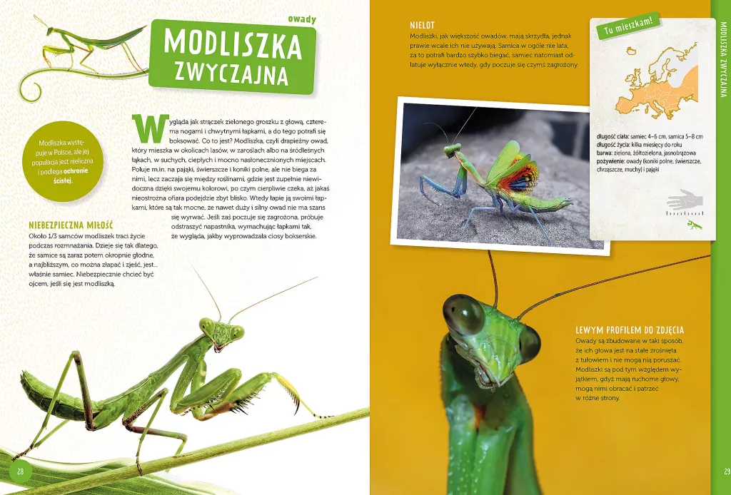 Poznaj z nami... Zwierzęta Europy - tantis.pl