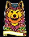 Kolorowanka Welwetowa A4 Akita inu - tantis.pl