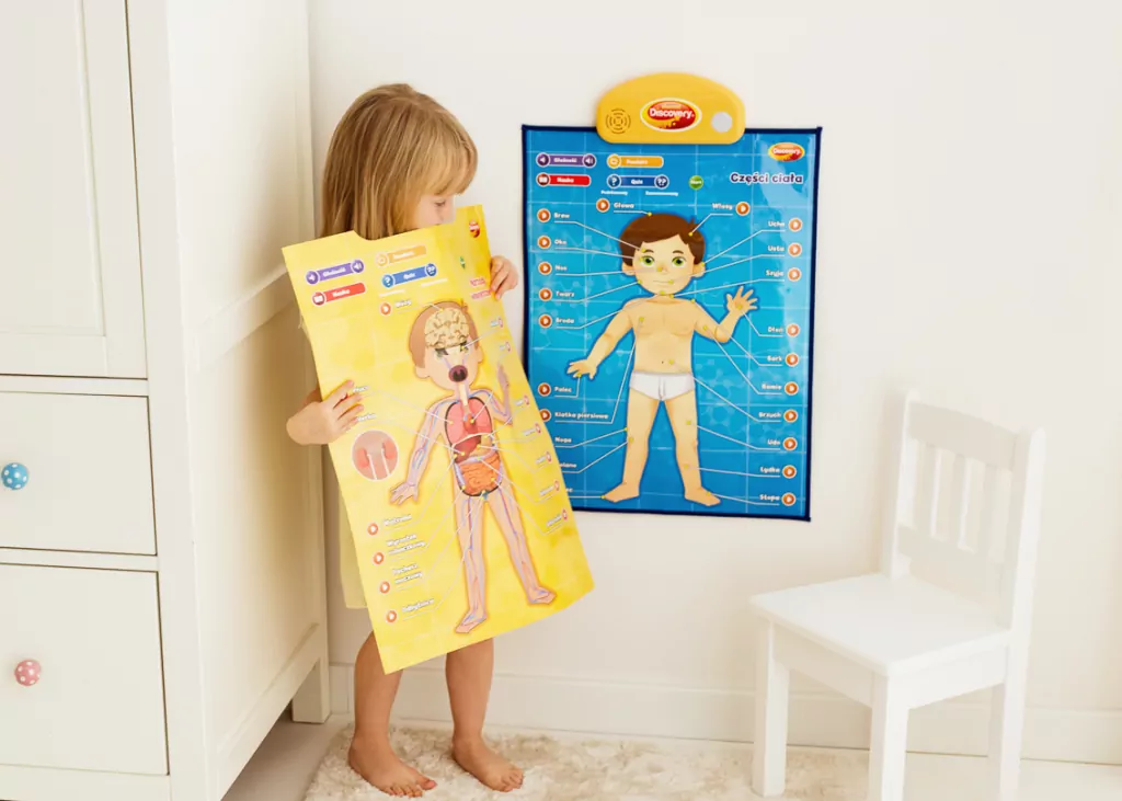 Edukacyjne plakaty. Człowiek - tantis.pl