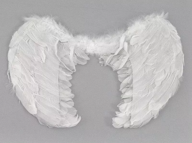 Skrzydełka anioła - tantis.pl