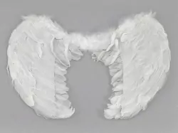 Skrzydełka anioła