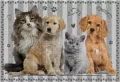 Puzzle 250 Puppy Sign 4 - tantis.pl