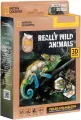 Puzzle 3D National Geographic Kameleon 63el - tantis.pl