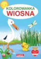 Wiosna. Kolorowanka - tantis.pl
