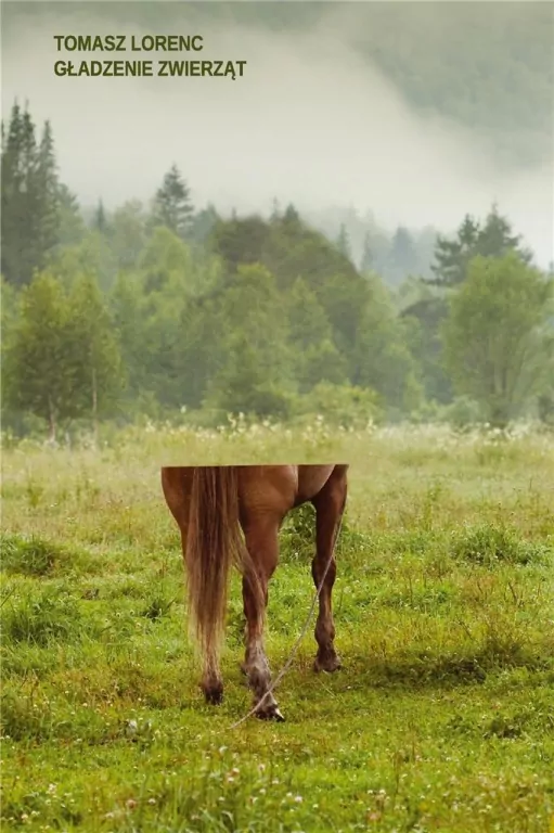 Gładzenie zwierząt - tantis.pl