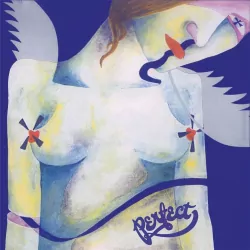 Śmigło. Płyta analogowa