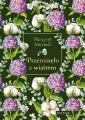Przeminęło z wiatrem (edycja elegancka) - tantis.pl