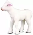 Jagnię stojące - tantis.pl