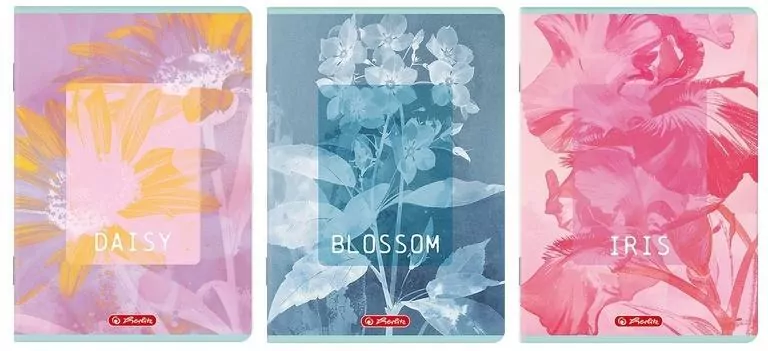 Zeszyt B5/80K kratka Blossom (5szt) HERLITZ - tantis.pl