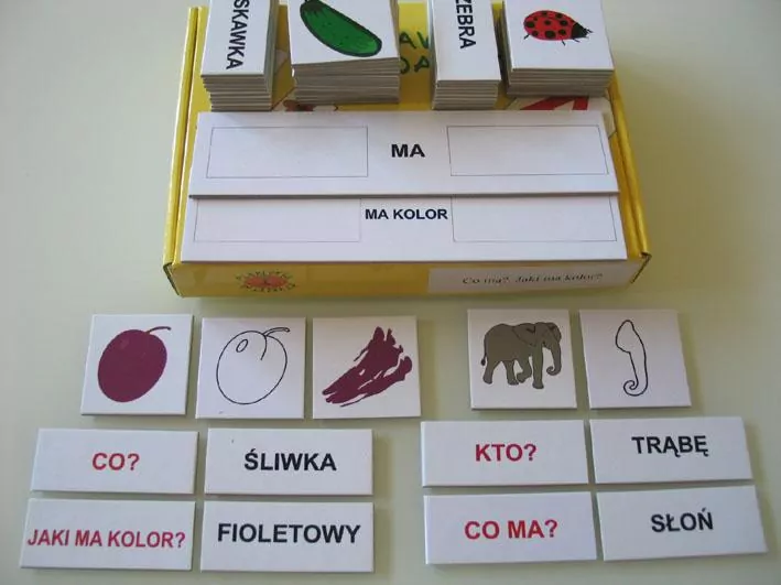 Zestaw dydaktyczny. Co ma? Jaki ma kolor? - tantis.pl