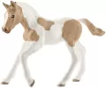 Źrebię rasy Paint Foal - tantis.pl