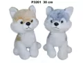 Pies husky 30cm MIX - tantis.pl