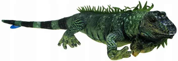 Legwan 85cm - tantis.pl