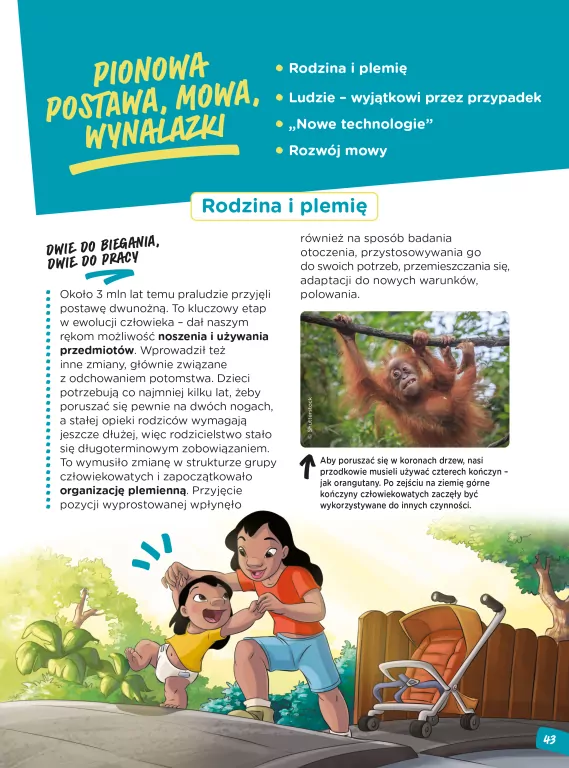 Ewolucja człowieka. Genetyka i ewolucja. Nauka z komiksem. Tom 3 - tantis.pl