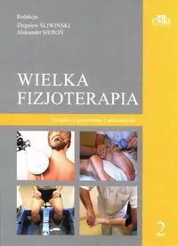Wielka fizjoterapia. Tom 2 - tantis.pl